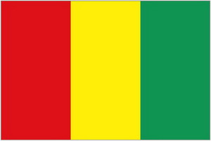 Ambasada Republike Gvineje