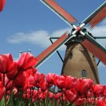 Holandija u cveću